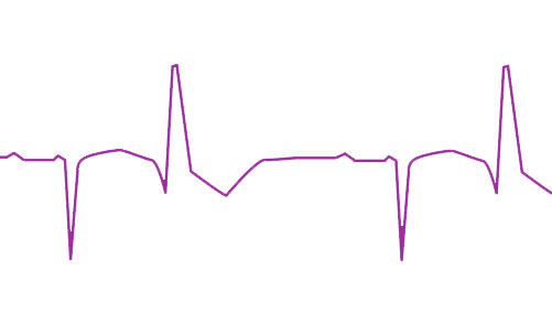 Ventricular inclusions